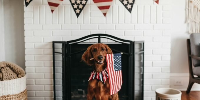 short-coated brown dog biting American flag