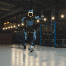World Cup Football GIF by Hyundai