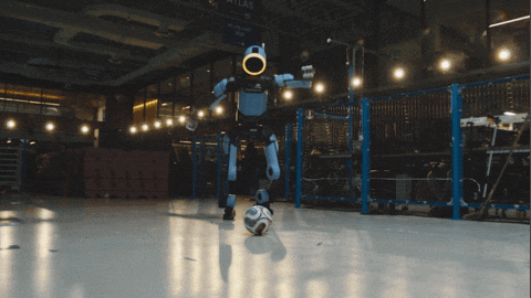 World Cup Football GIF by Hyundai